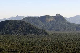 Foto: Adriano Gambarini - WWF Brasil