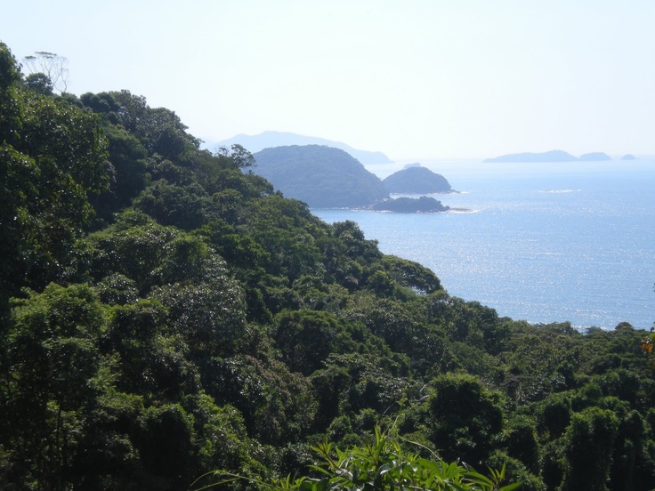Foto: Adriano Gambarini - WWF Brasil